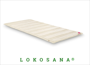 Lokosana® Erdungsauflage von Samina